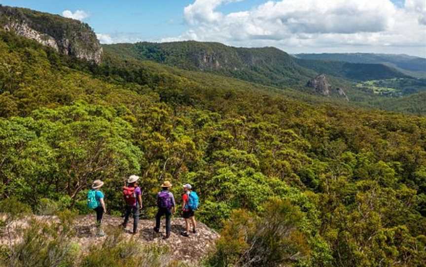 ParkTours, Beechmont, QLD