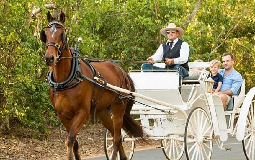 Darwin Horse and Carriage, Darwin, NT