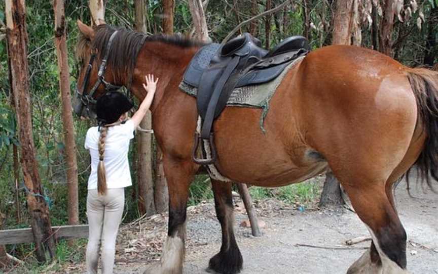 Ryders Horse Riding Tours, Labertouche, VIC