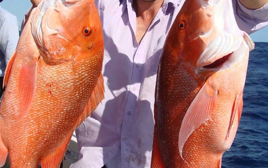 Rainbow Beach Fishing Charters, Rainbow Beach, QLD