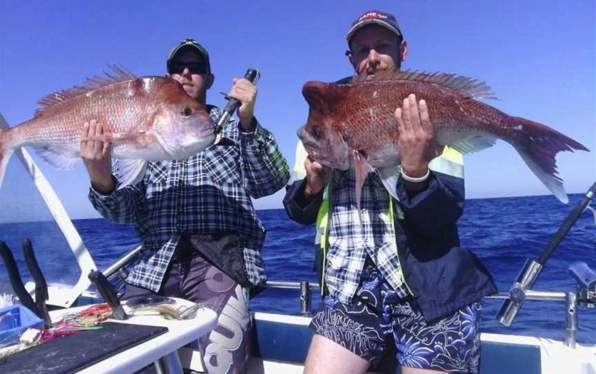 Smithys Fishing Charters, Minyama, QLD