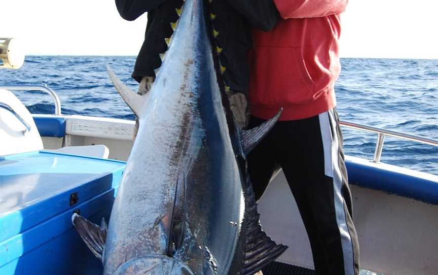 Hot Fishing Charters, Bermagui, NSW