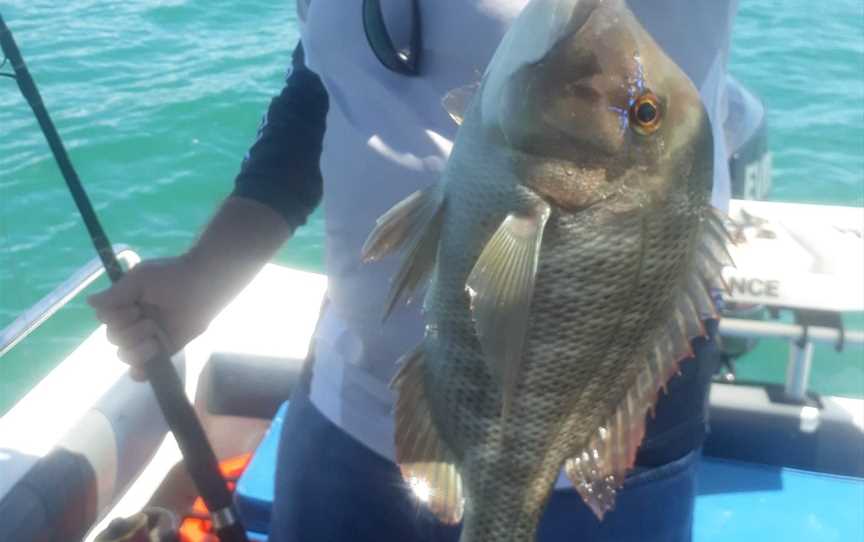 Horseshoe Bay Water Sports Fishing Charters, Magnetic Island, QLD