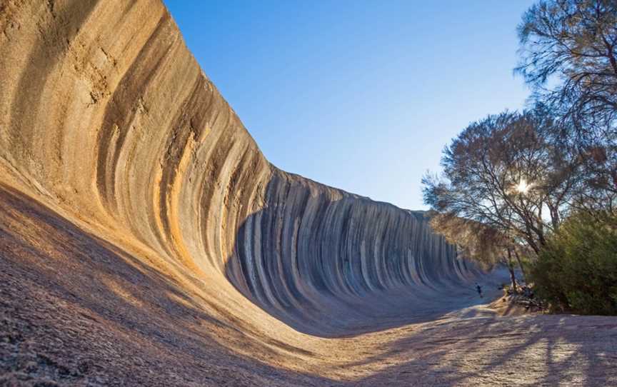 Great Southern Discovery - Day Tours, Albany, WA