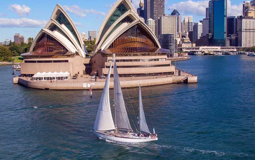 Swanning Around, Sydney, NSW