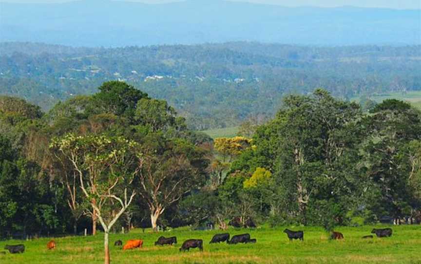 Discover Yarraman, Yarraman, QLD