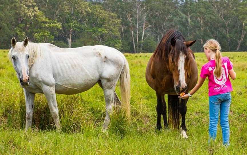 Dusty Bush Tours, Ulladulla, NSW