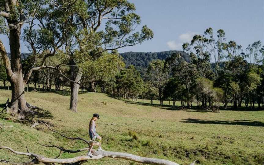 Jamberoo Valley Farm Tours, Jamberoo, NSW