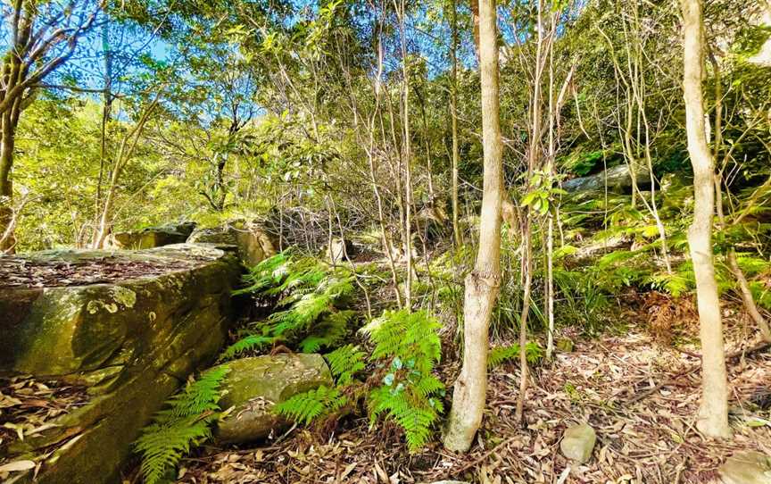 EcoWalks Tours, Sydney, NSW