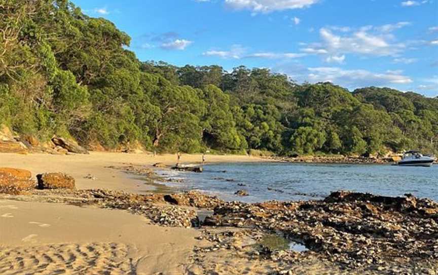 EcoWalks Tours, Sydney, NSW