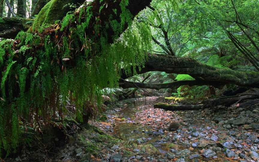 Nature Engagement Tours, Shellharbour, NSW