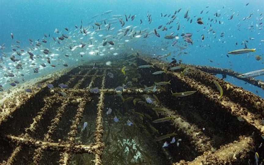 Tobruk Dive Experience, Bundaberg, QLD