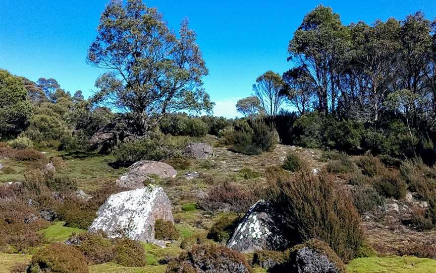 Miena Village Guiding, Miena, TAS