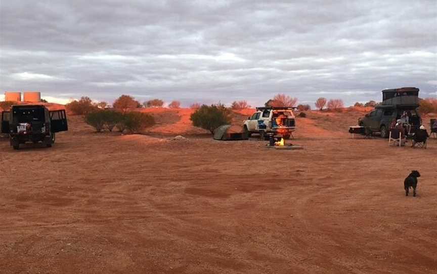 Dingo Trax, Marree, SA