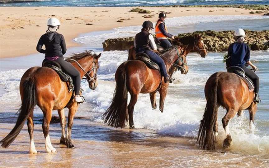 Gunnamatta Trail Rides, Rye, VIC