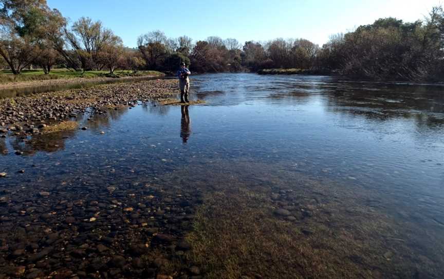 Galey MsGuided Fly Fishing, Alexandra, VIC