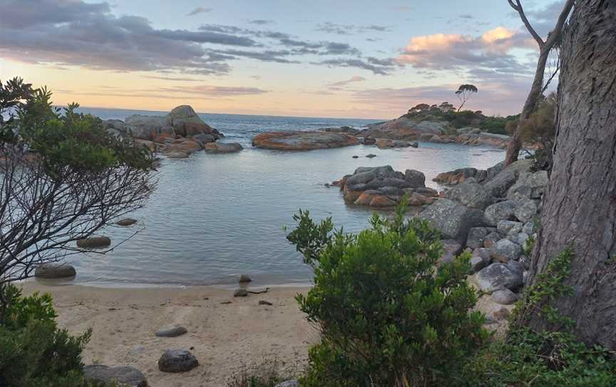 Bay of Fires Eco Tours, Binalong Bay, Tas