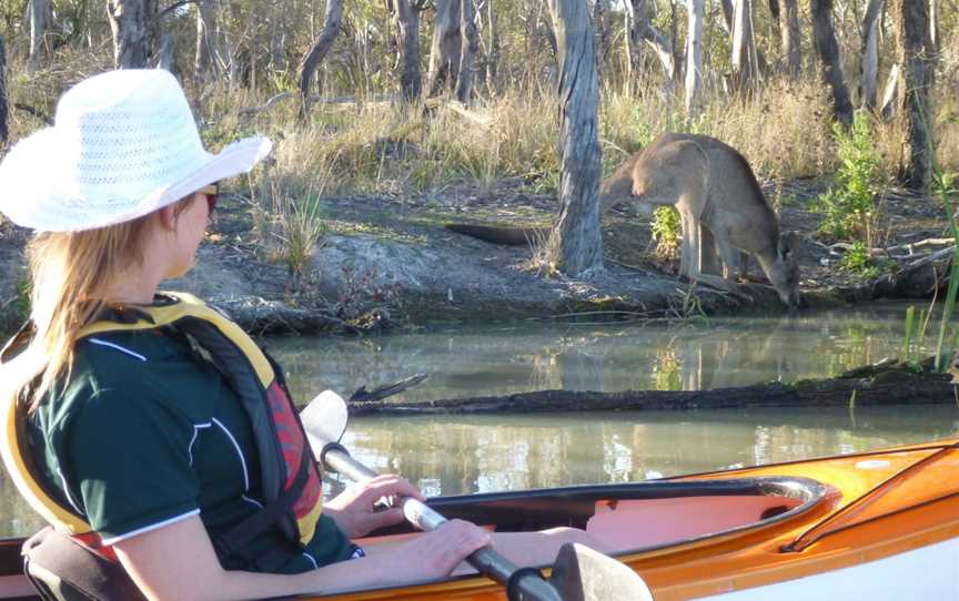 Canoe Adventures - Riverland, Berri, SA