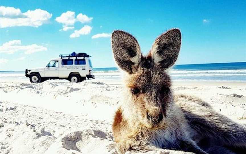 4X4 G'day Adventure Tours, Tours in Bribie Island