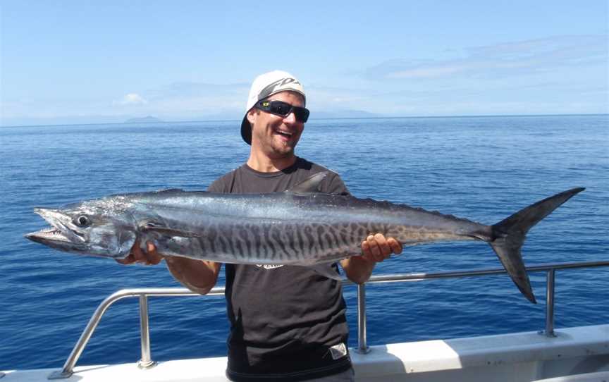 Cairns Reef Fishing, Cairns City, QLD