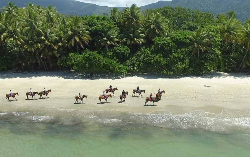 Cape Trib Horse Rides, Cape Tribulation, QLD