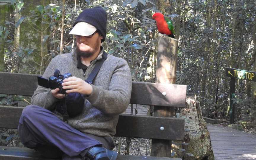 Araucaria Ecotours - Day Tours, Rathdowney, QLD