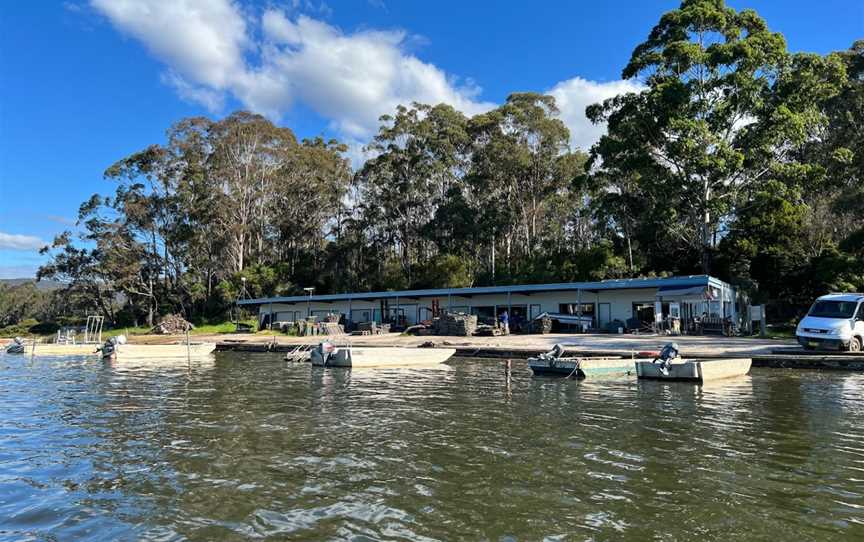 Captain Sponges Magical Oyster Tours, Pambula, NSW