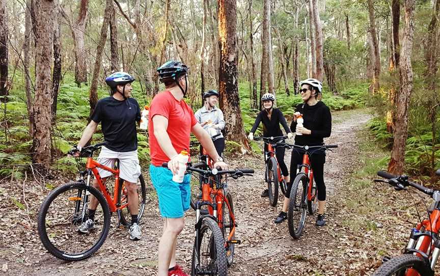 Central Coast Mountain Bike Tours, Umina Beach, NSW