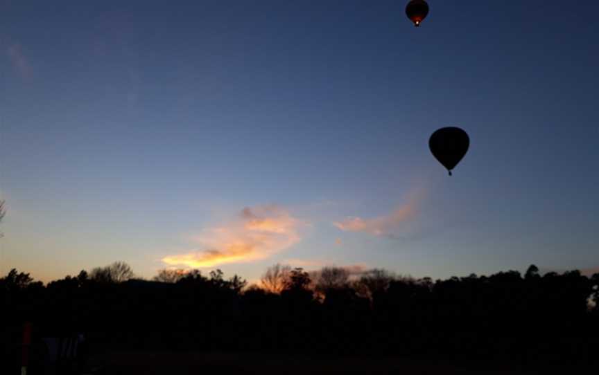 Balloon Aloft Sydney, Cessnock, NSW