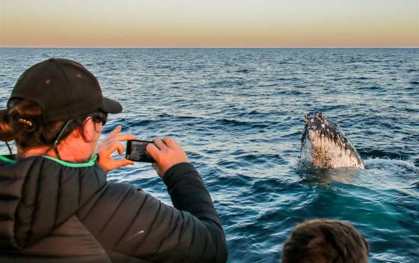 AquaMarine Adventures - Port Stephens, Nelson Bay, NSW