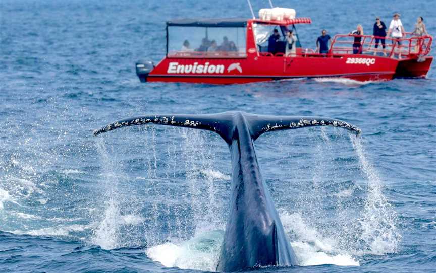 AquaMarine Adventures - Port Stephens, Nelson Bay, NSW