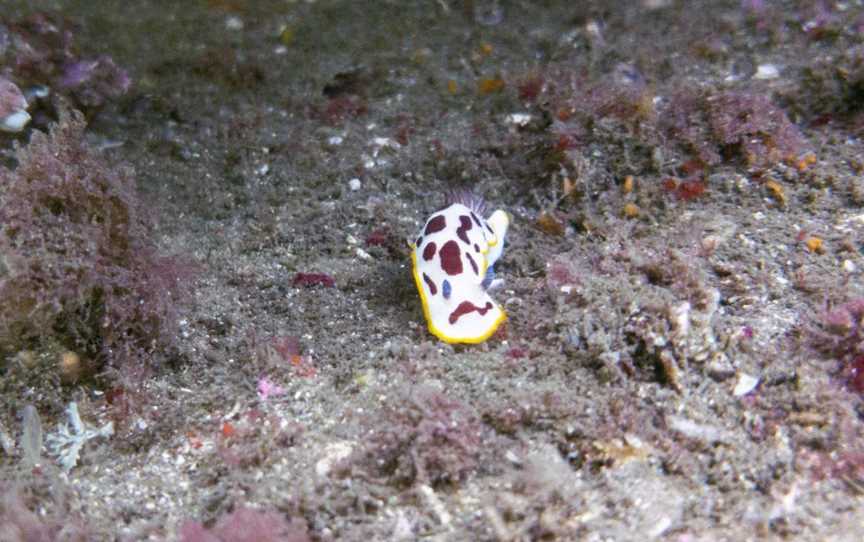 St. George Underwater Center, Carlton, NSW