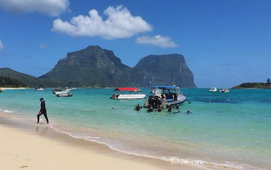 Dive Lord Howe, Lord Howe Island, NSW