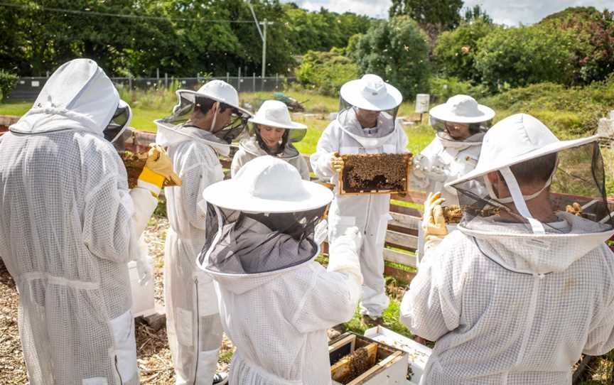 Bowral Beekeeping, Bowral, NSW