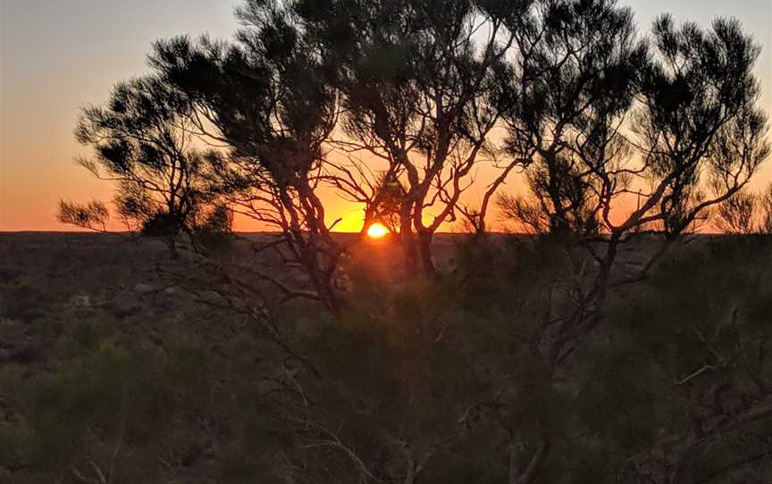 Desert Awakenings, Yulara, NT