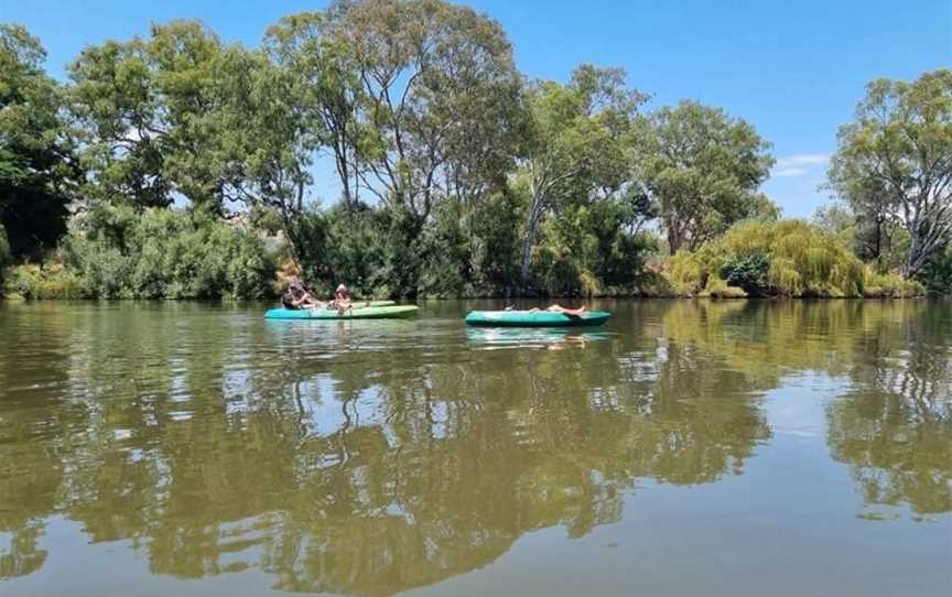 Canoe The Murray, Albury, NSW