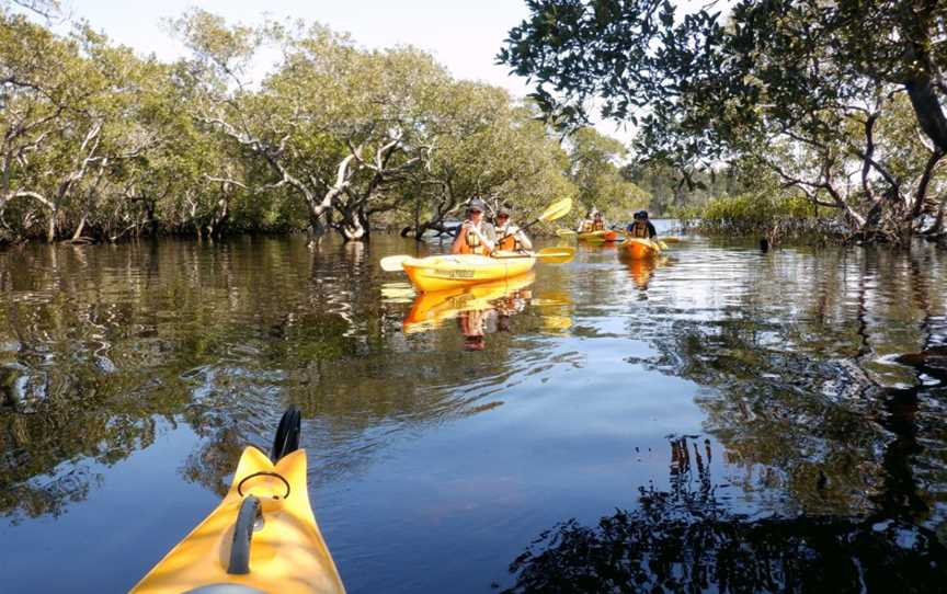 Lazy Paddles, Tea Gardens, NSW