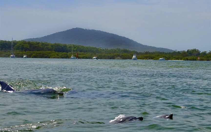 EZY KAYAKS Hawks Nest, Hawks Nest, NSW