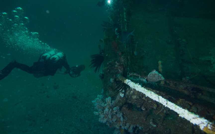 Blue Bay Divers, Brunswick Heads, NSW