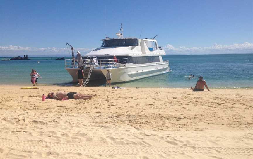 Dolphin Wild Island Cruises, Newport, QLD