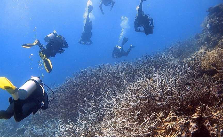 Remote Area Dive, South Townsville, QLD