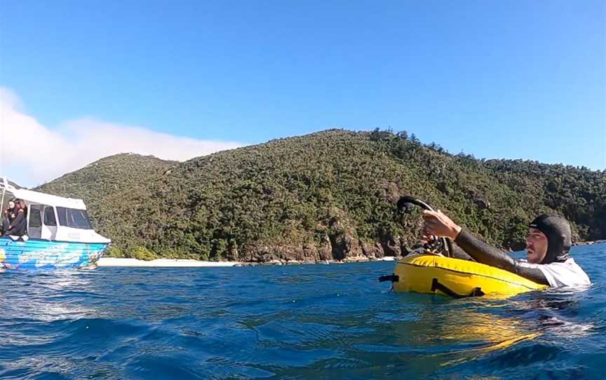 OceanSense Freediving Airlie Beach, Cannonvale, QLD