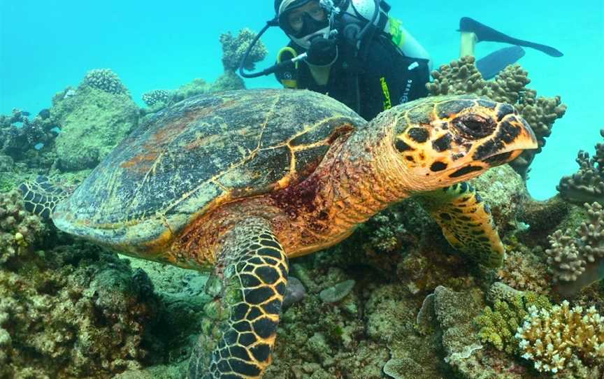 Rick's Dive School, Hope Island, QLD