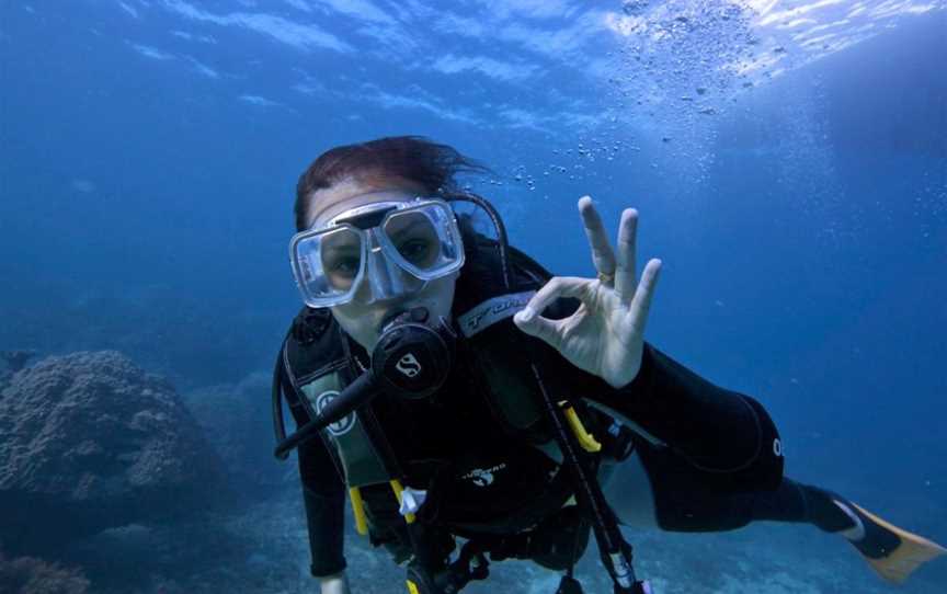 Australia Dive, Cairns City, QLD