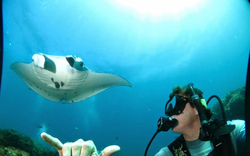 Manta Lodge & Scuba Centre, Point Lookout, QLD