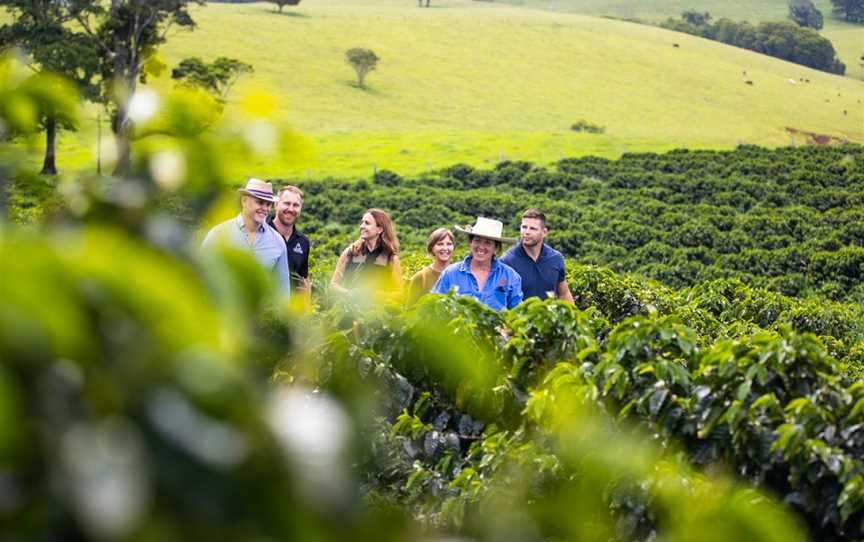 Cairns Tasting Tours, Whitfield, QLD