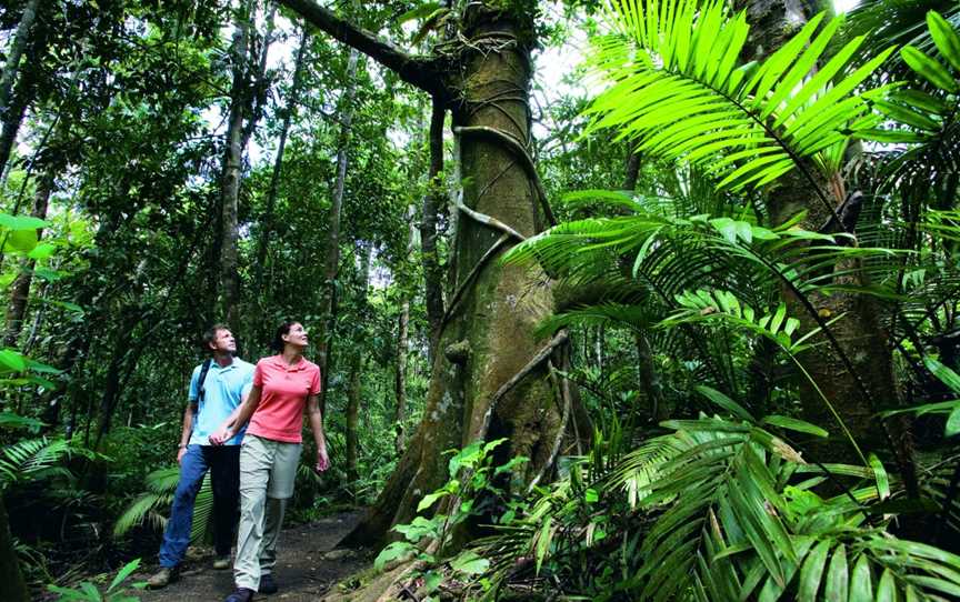 Active Tropics Explorer, Bungalow, QLD