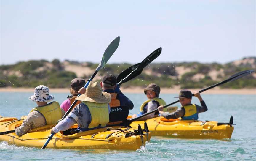 Canoe the Coorong Sunset Tour, Hindmarsh Island, SA