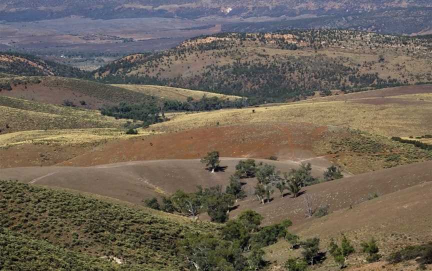 Aussie Heritage Tours, 4WD Aussie Outback Adventures, Quorn, SA