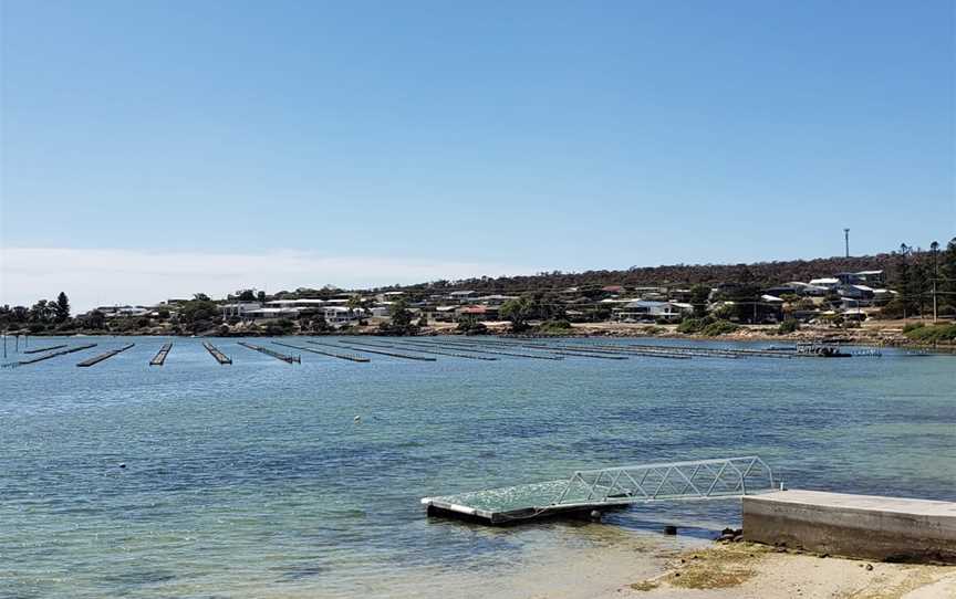 Oyster Farm Tours - Coffin Bay, Coffin Bay, SA